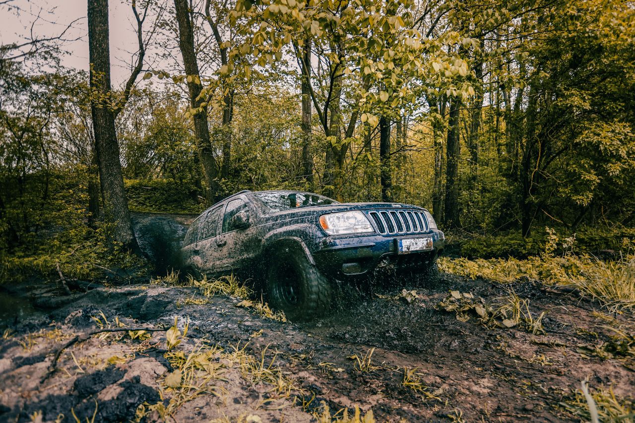 Powerful SUV navigating muddy trails in lush Polish forest, epitomizing adventure.